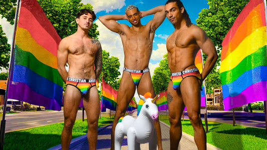 Wat is gay ondergoed?