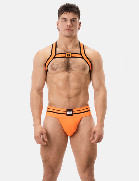 Barcode Berlin Multipack 1x Andreus Jockstrap + 1x Colin Harness Orange-Black