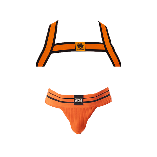 Barcode Berlin Multipack 1x Andreus Jockstrap + 1x Colin Harness Orange-Black