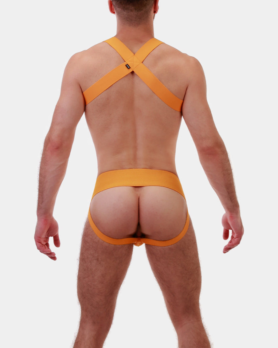 Barcode Berlin Multipack 1x Sergey Jockstrap + 1x Matt Harness Yellow