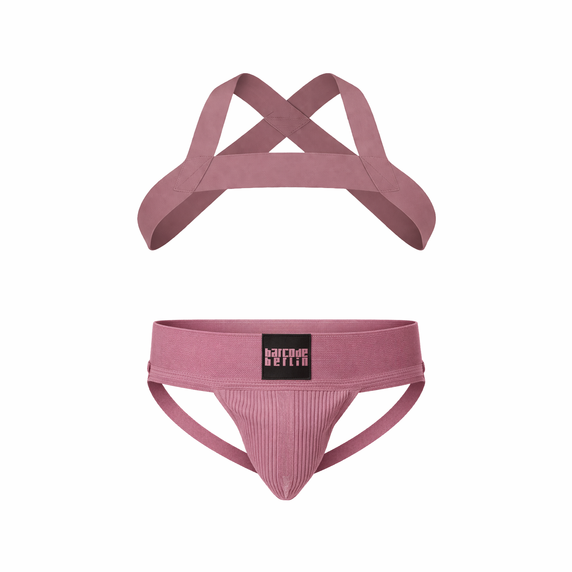 Barcode Berlin Multipack 1x Sergey Jockstrap + 1x Matt Pop Harness Brownishpurple