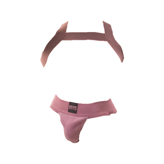 Barcode Berlin Multipack 1x Sergey Jockstrap + 1x Matt Pop Harness Brownishpurple