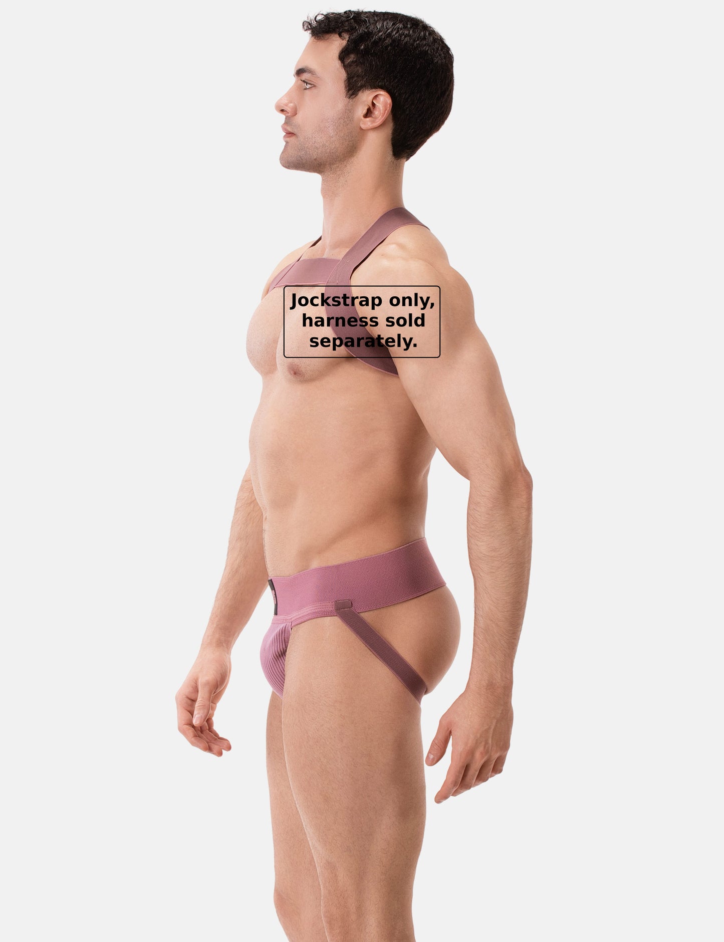 Barcode Berlin Sergey Pop Jockstrap Brownishpurple