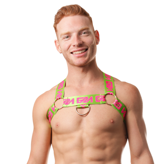 Garçon Lincoln Circuit Harness