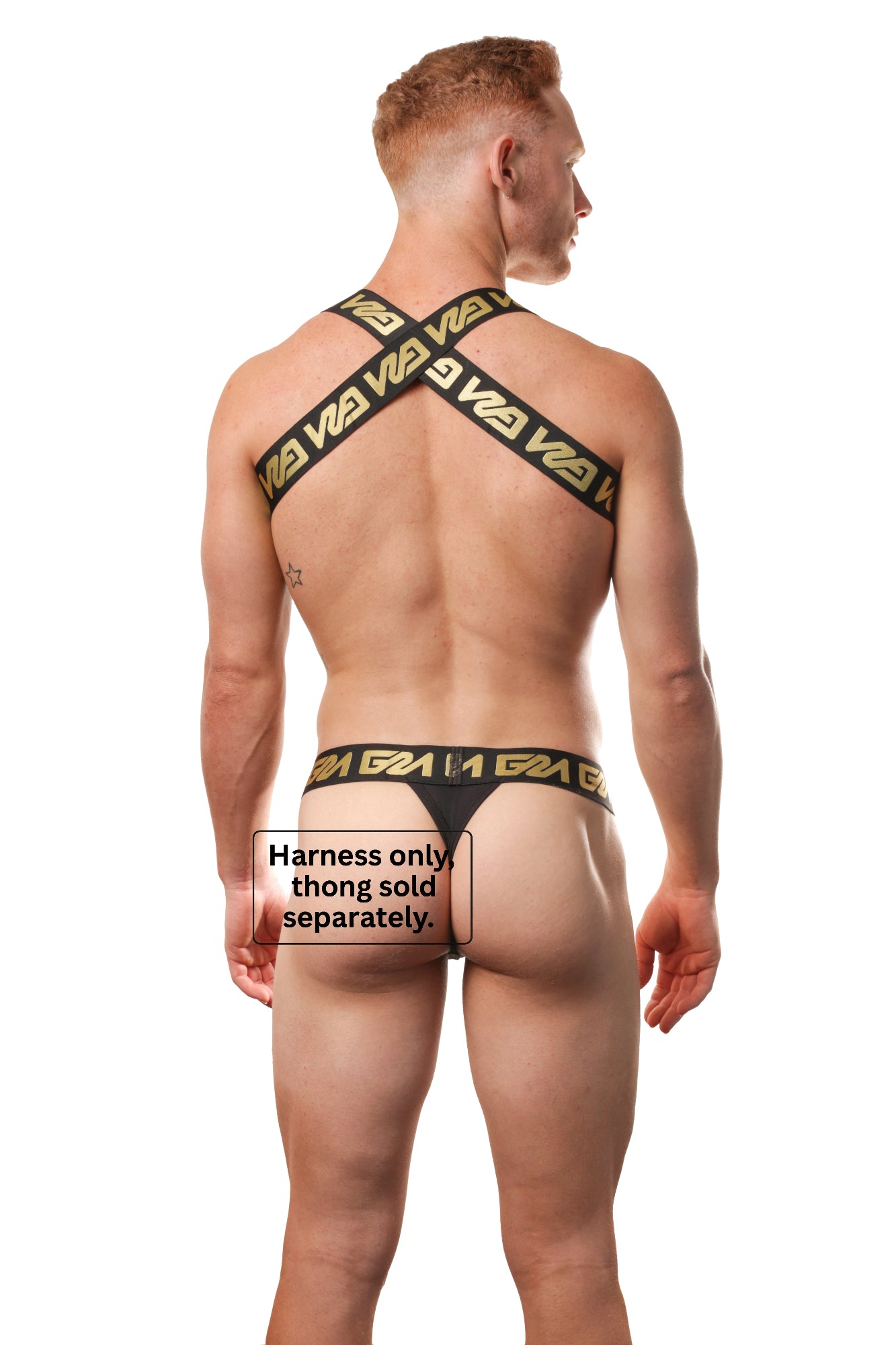 Garçon Miramar Circuit Harness