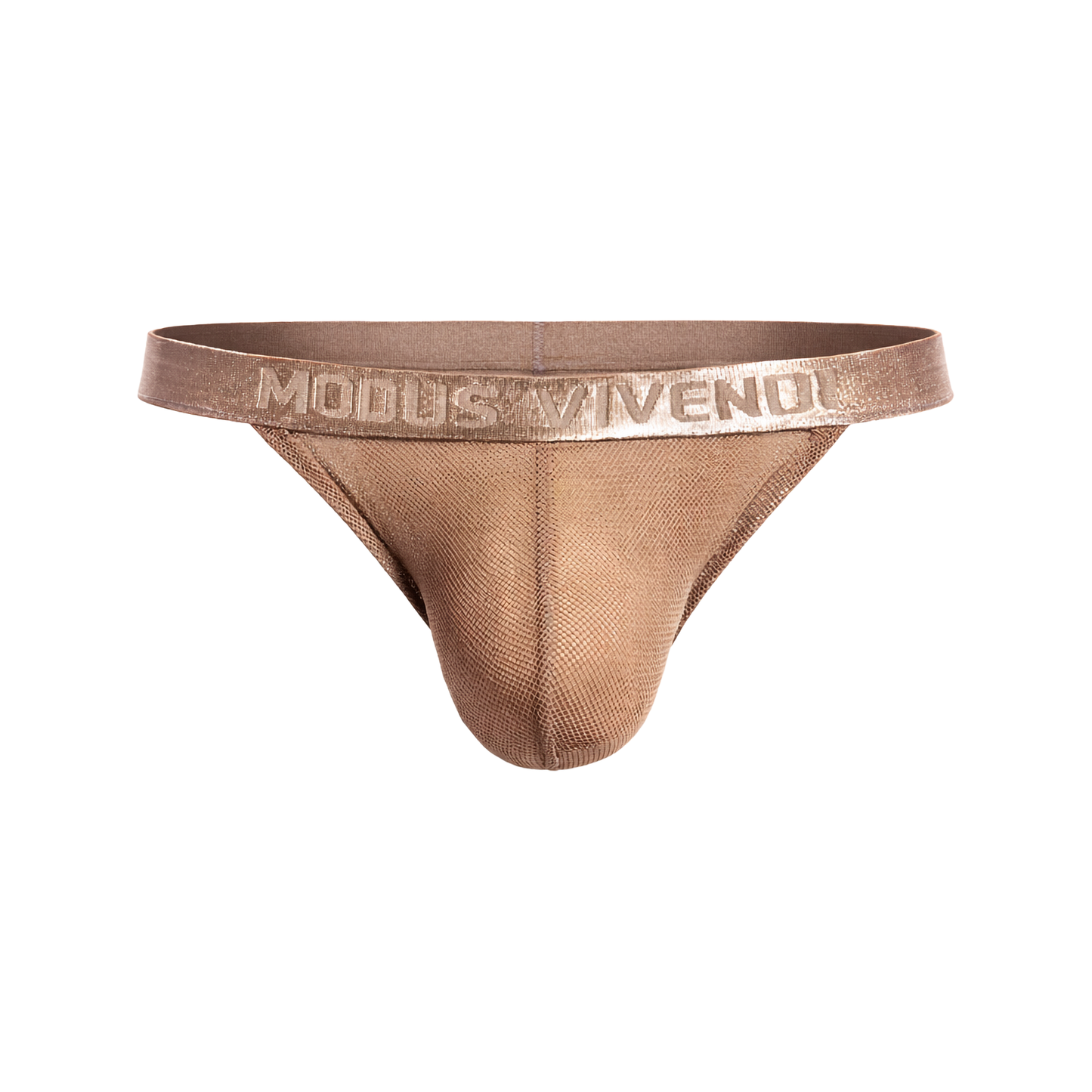 MODUS VIVENDI Mesh Through Tanga Brief Skin