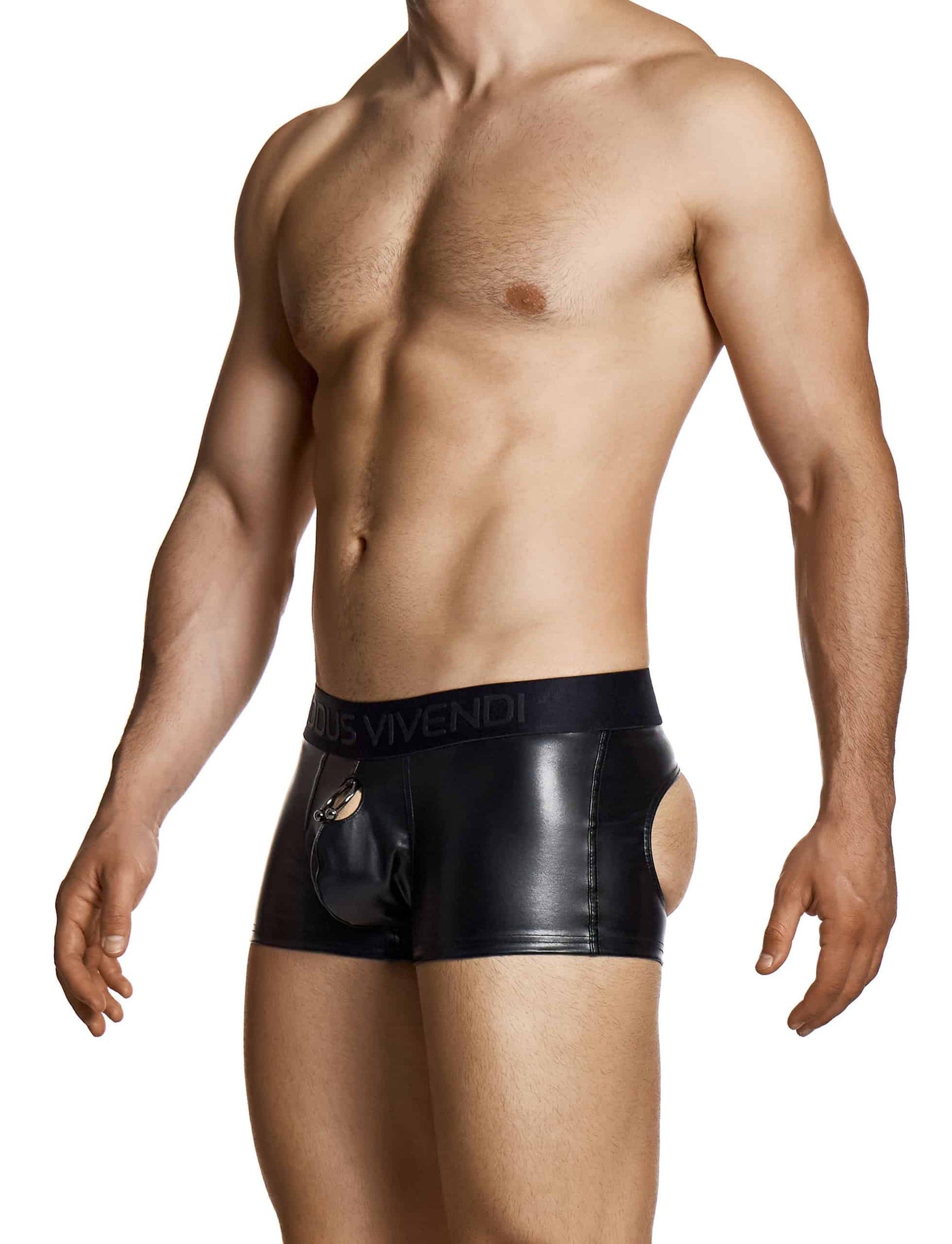 MODUS VIVENDI Prince Albert Bottomless Boxer